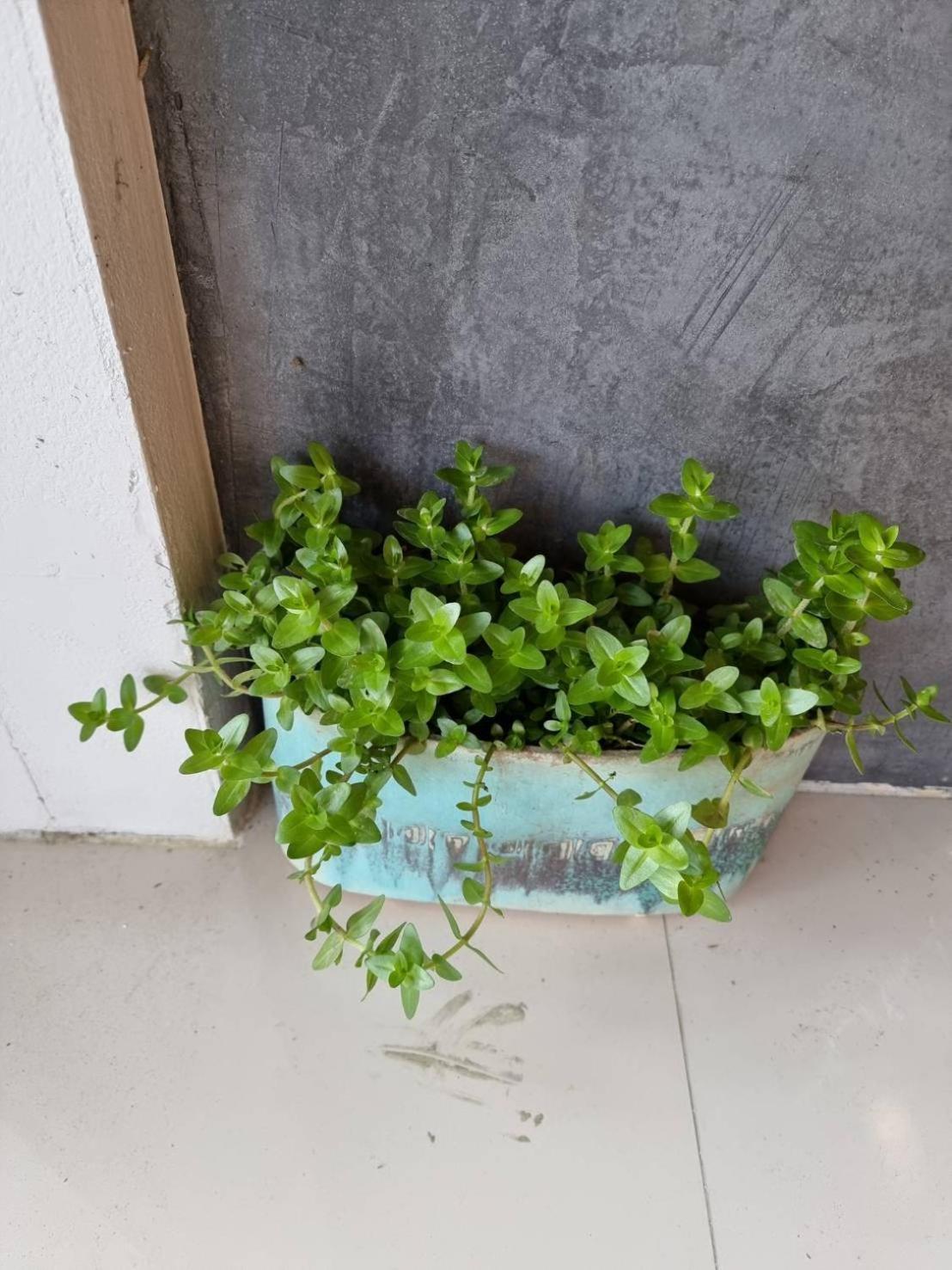 Sida Hostel Phetchaburi Zewnętrze zdjęcie